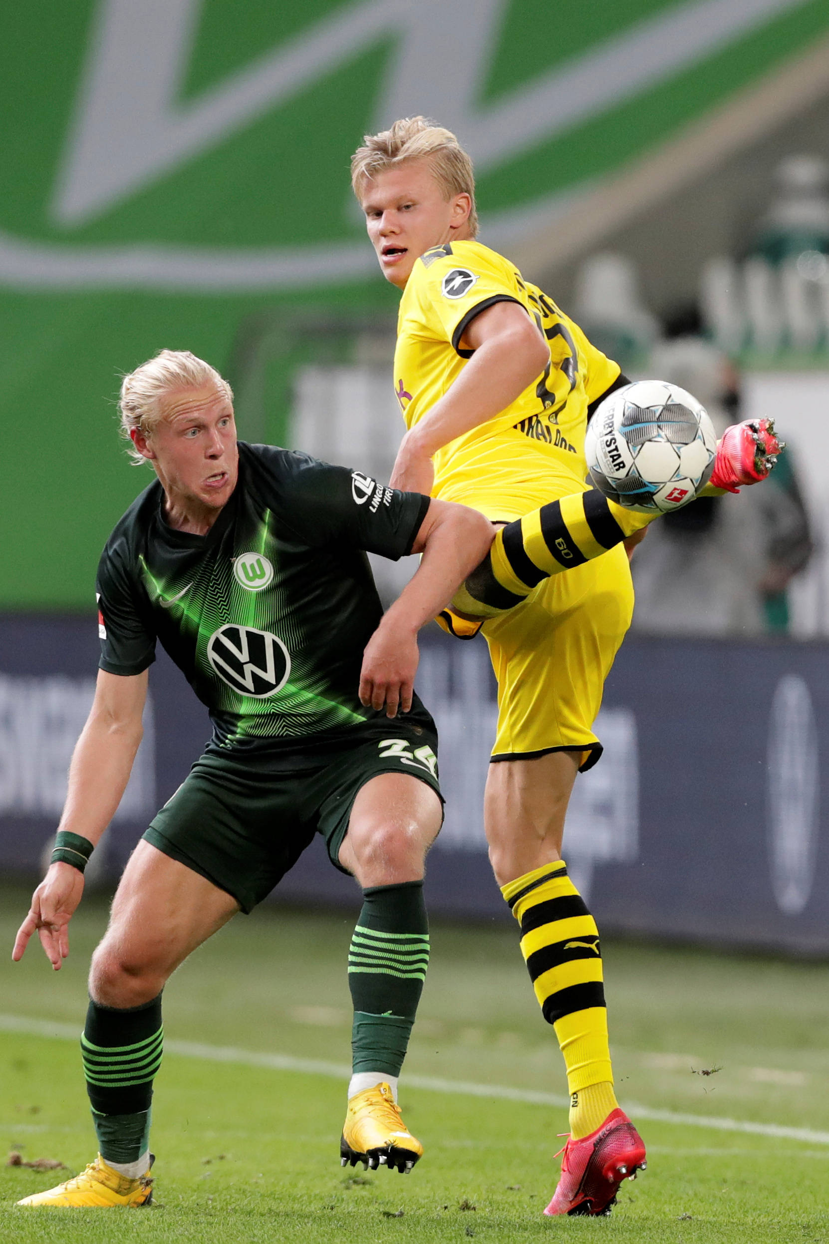 大连英博海 大连英博海